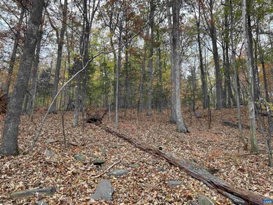 355 Stone Chimneys Rd unit 26, Nellysford, VA 22958 - photo 6