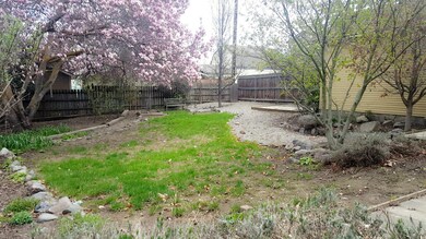 backyard pic 2