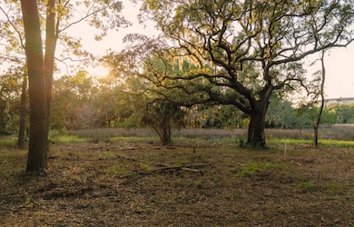 0 Haswell St, Charleston, SC 29492 - photo 6