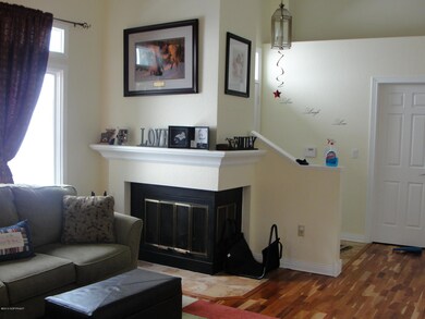 Fireplace in LR