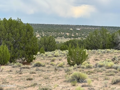 171 E Witch Well Ranches -- unit 171, Saint Johns, AZ 85936 - photo 5