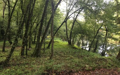 0 Bench Leg Rd unit 280799, Mineral Bluff, GA 30559 - photo 3