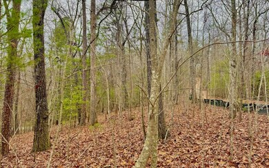 2.5AC Loy St, Ellijay, GA 30540 - photo 2