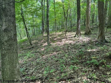 TBD Irontown Rd, Independence, WV 26374 - photo 3