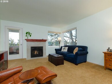 Fireplace Gas