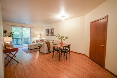 5194 Sassafras Dr unit 109, Fitchburg, WI 53711 - photo 6