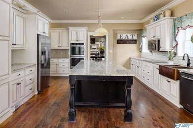 Updated stainless steel appliances, fabulous cabinets with built-in mixer cabinet, vegetable sink plus hammered copper farmhouse sink with dual bowls. Hardwoods, gigantic island with breakfast bar opens to breakfast area, family room and screened porch!