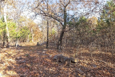 TBD S 4497 Rd, Vian, OK 74962 - photo 7