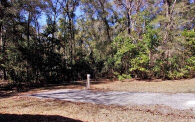 3907 280th Terrace, Branford, FL 32008 - photo 3