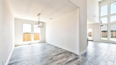 1727 Daldoran Dr, Celina, TX 75009 - photo 5