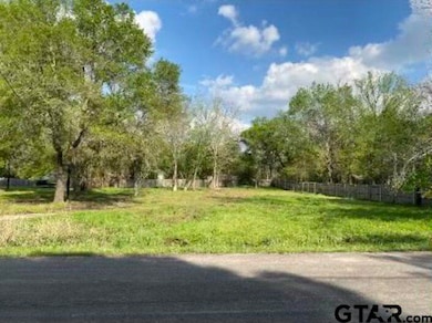 16599 Janan Dr, Tyler, TX 75707 - photo 2