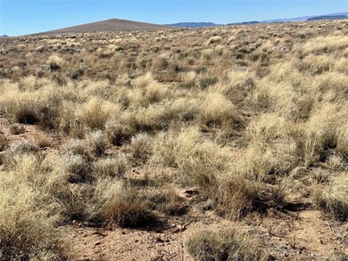 lot 1 29th St, Blanca, CO 81123 - photo 7