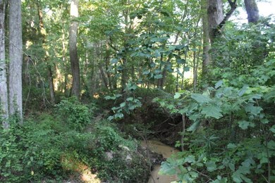 150=911# Cr 233 (King Bailey Road), Oxford, MS 38655 - photo 3