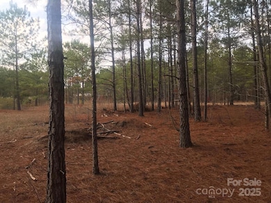 1824 Germantown Place, Dillon, SC 29536 - photo 5