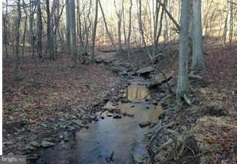 0 Noland Ridge Rd unit 1000215419, Slanesville, WV 25444 - photo 2