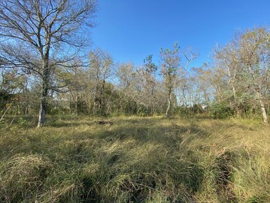 0 Cowan Rd unit 34856976, Algoa, TX 77511 - photo 2