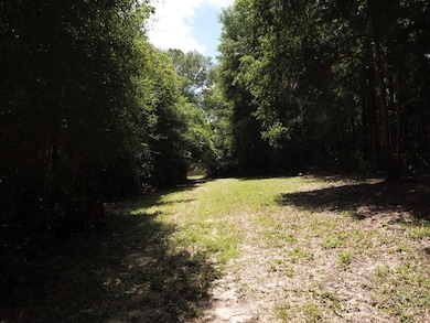 9.57 Acres N Highway 69, Woodville, TX 75979 - photo 2