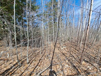 Lot 10 Seven Sisters Cir unit 10, Campton, NH 03223 - photo 6