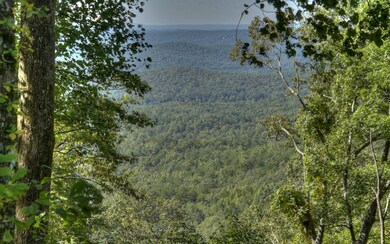 Additional View