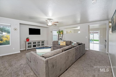 Living room featuring carpet flooring, a textured ceiling, and a ceiling fan