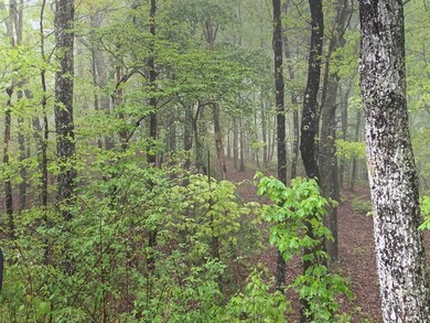 225 Prospectors Way, Jasper, TN 37347 - photo 4