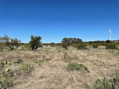 0000 Allen Rd, Christoval, TX 76935 - photo 3