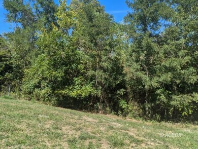 Wooded lot