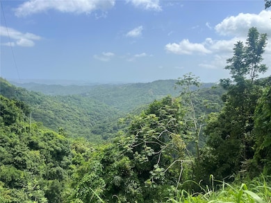 KM 19.9 Carr 128, Yauco, PR 00698 - photo 4