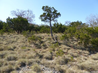 27010 Shady Run, Fair Oaks, TX 78006 - photo 7