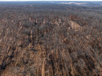 000 SE Highway J, Collins, MO 64738 - photo 5