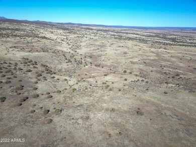 DJI_0005