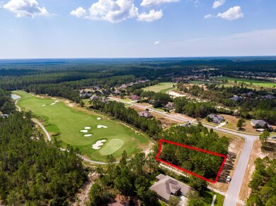 15 Brushed Dune Circle Aerial-15