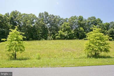 52 Wayside Mill Ln, Middletown, VA 22645 - photo 6