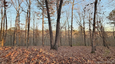 246 Red Fox Cove Trail, Flint Creek, OK 74347 - photo 3