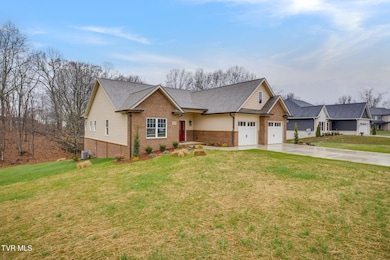 303 Azure Landing, Jonesborough, TN 37659 - photo 5
