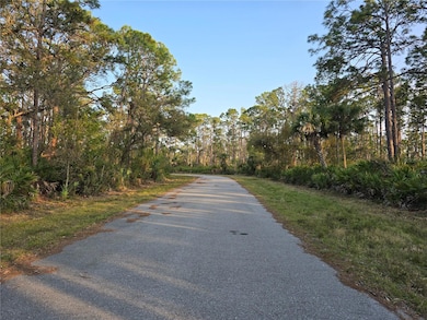 12522 Ranch Ave, Port Charlotte, FL 33953 - photo 3