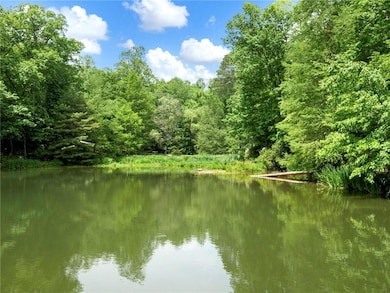 1402 Henderson Mountain Rd, Jasper, GA 30143 - photo 3