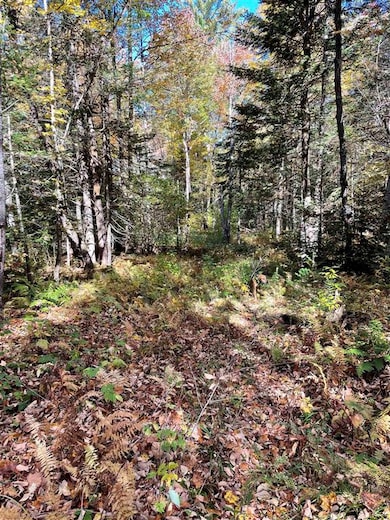 1010 Fellows Rd, Guildhall, VT 05905 - photo 4