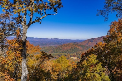 333 Walnut Ridge, Ellijay, GA 30536 - photo 5