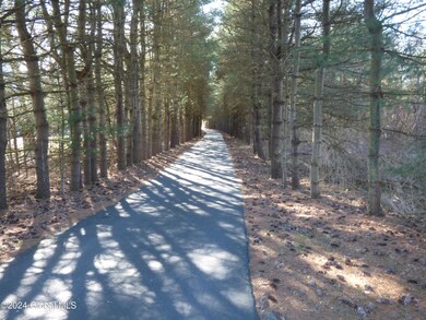 Driveway Entry