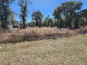 0 Deer Crest Dr unit 7552478, Mobile, AL 36695 - photo 3