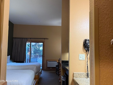 1424 Old Knoxville Hwy unit 11001, Sevierville, TN 37876 - photo 3