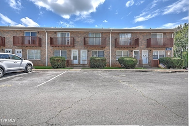 1805 King College Rd unit E4, Bristol, TN 37620 - photo 3