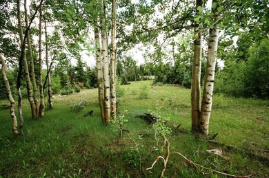 Rainbow Meadows 005