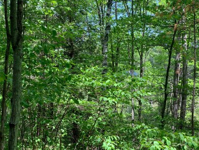 Lot 17 McCarthy Lake Rd, Tomahawk, WI 54487 - photo 6