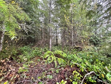 10 xx Oppelt Rd, Onalaska, WA 98570 - photo 6