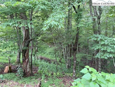TBD Lots 11-12-13 Elliott Cir, Blowing Rock, NC 28605 - photo 6