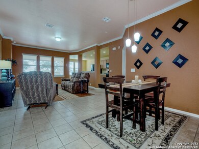 22107 Tower Terrace, San Antonio, TX 78259 - photo 6