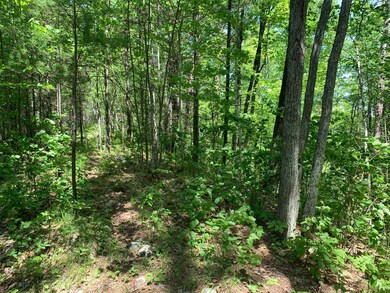 Lot 2 McCarthy Lake Rd, Tomahawk, WI 54487 - photo 6