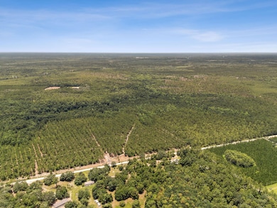 0 Penny Haddock Rd unit 24173778, Hilliard, FL 32046 - photo 2